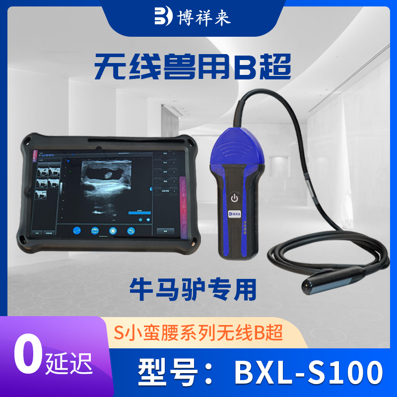 獸用無線B超測孕儀BXL-S100
